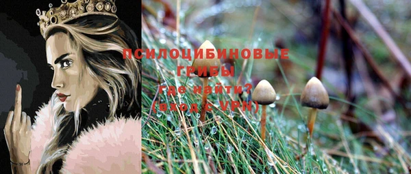 каннабис Баксан