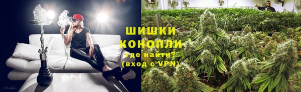 соль ск Нея