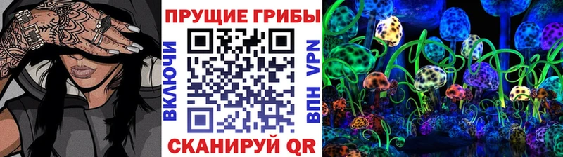 Псилоцибиновые грибы GOLDEN TEACHER закладки Новый Оскол